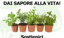 Piantine aromatiche a sostegno di AIDO