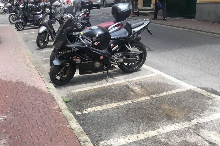 Esche avvelenate in via Ferretto. Il sindaco: “Troveremo i responsabili”