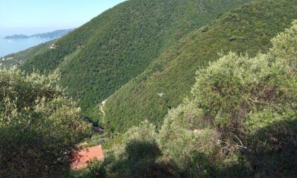 Cade dalle fasce, soccorsa un'anziana