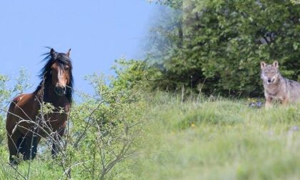 Valli del Parco dell’Aveto: tutti gli eventi della settimana
