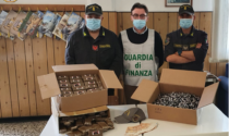 Traditi dalla pessima saldatura: Finanza scopre 32 chili di hashish nel doppiofondo dell'auto