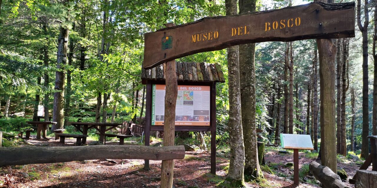 Apre il Museo del Bosco…con un piccolo dono ai visitatori