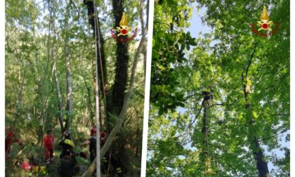 Salvato dai vigili del fuoco dopo l'atterraggio con il parapendio... su un albero di San Colombano - Foto e Video