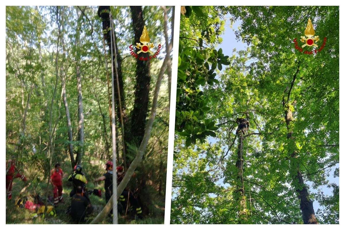 Salvato dai vigili del fuoco dopo l’atterraggio con il parapendio… su un albero di San Colombano – Foto e Video