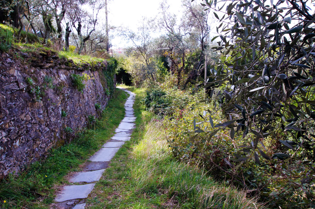 Tornano le visite guidate a Lavagna