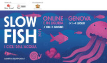 It’s Slow Fish time! L’evento torna con un doppio programma digitale e in presenza