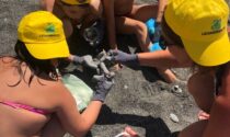 A Lavagna bambini volontari puliscono la spiaggia