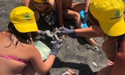 A Lavagna bambini volontari puliscono la spiaggia