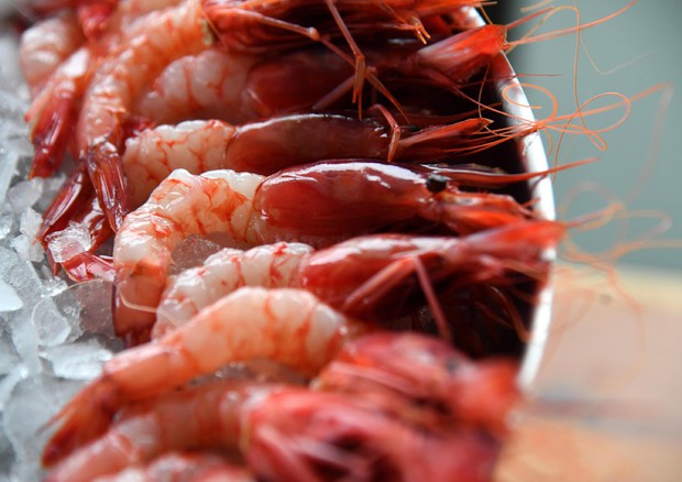 Gambero di Santa a rischio, interrogazione della Regione al ministero