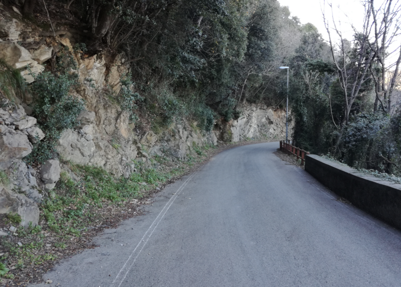 Messa in sicurezza della strada di Maxena, Sanguineto e Campodonico, il punto sui lavori