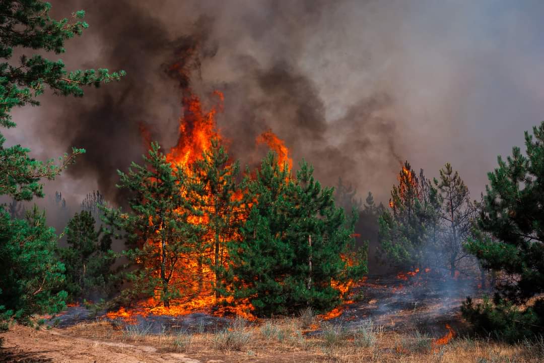 Attivo lo stato di grave pericolosità per gli incendi boschivi in tutta la Liguria