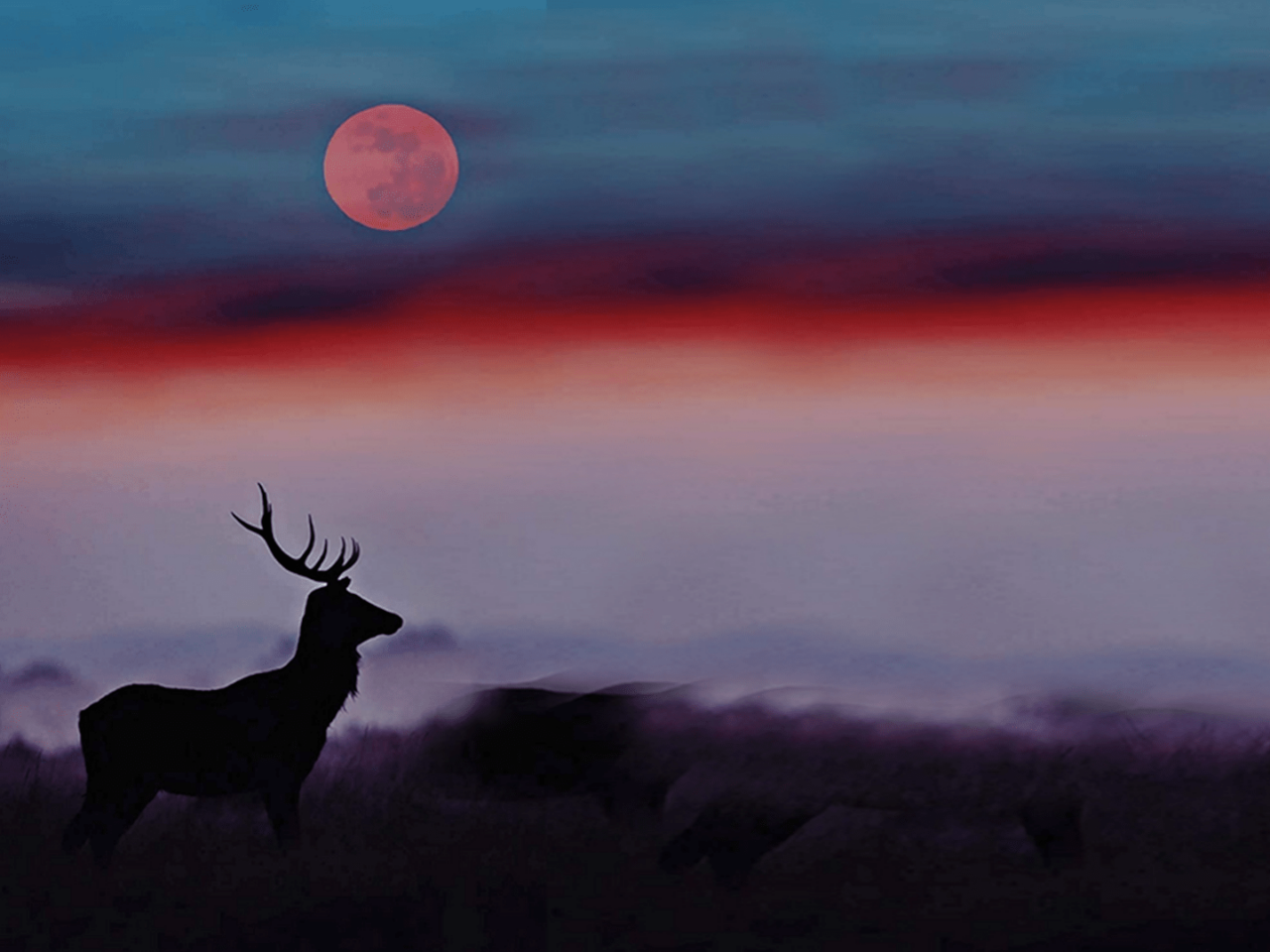 Il Sestante invita ad osservare la “Luna del Cervo” al parco Mandela