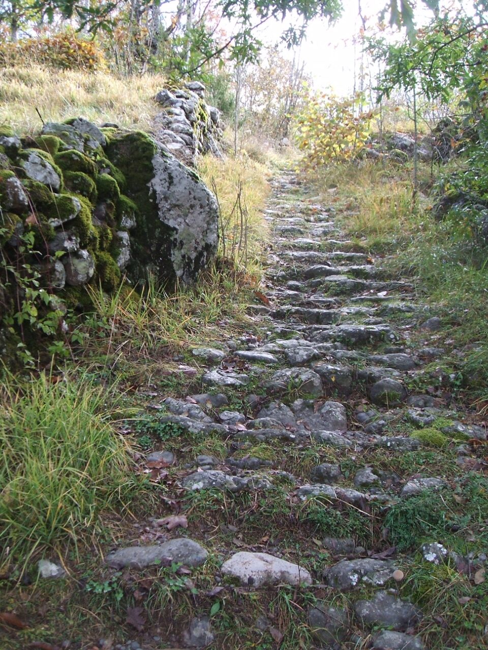 Una giornata con Libera alla scoperta degli antichi sentieri della Val d’Aveto
