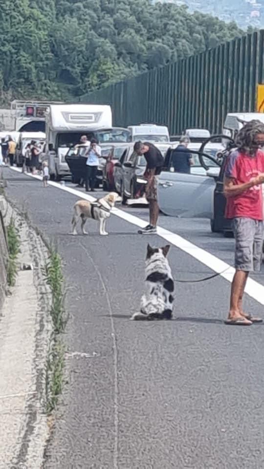 Incidente in A12, sette chilometri di coda