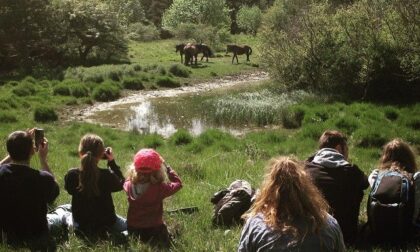 Gli eventi della settimana nel Parco dell'Aveto