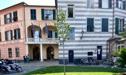Rapallo sempre più "green", nuovi alberi davanti al Comune e a Villa Porticciolo