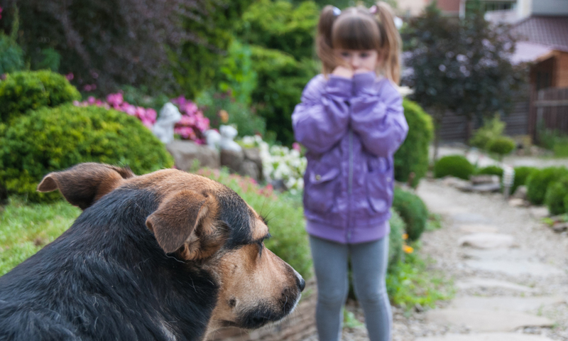 Camogli, ecco i vincitori del concorso “Un cane per amico”
