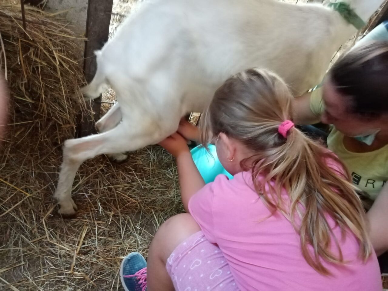 Bilancio primo centro estivo