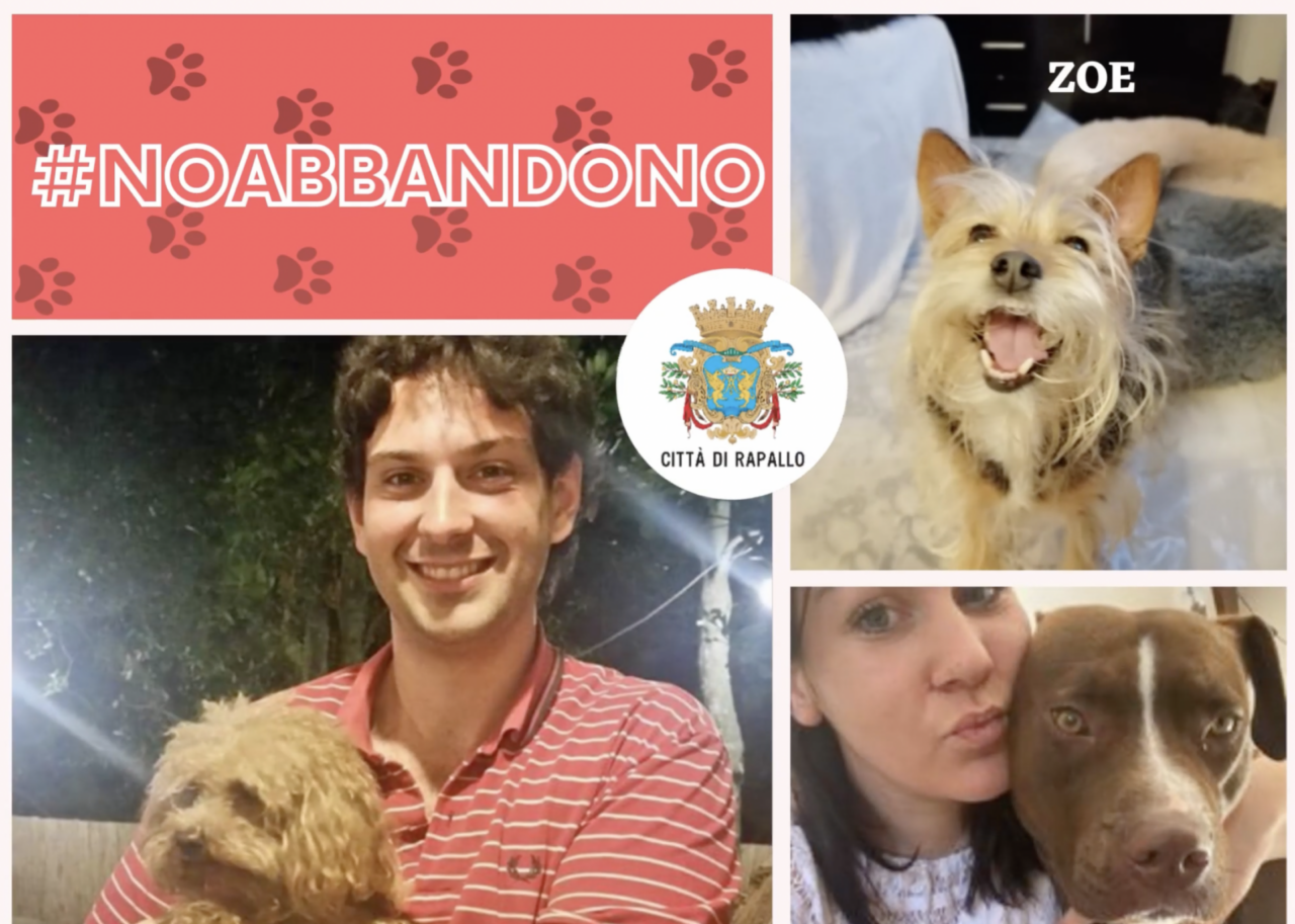 #NoAbbandono, in un video gli animali domestici di cittadini e amministratori