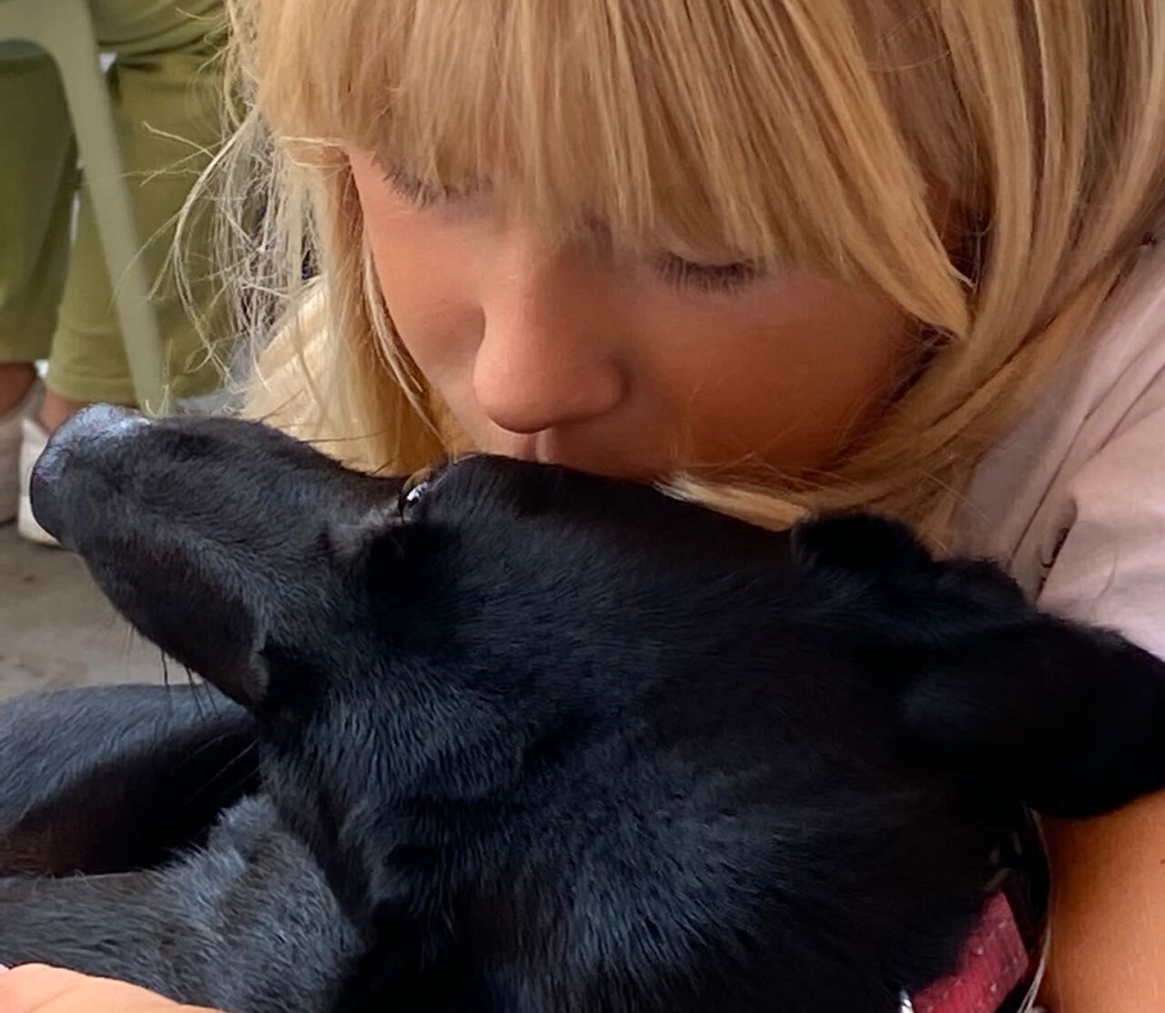 Cani bisognosi, in piazza la raccolta per il canile di Rapallo