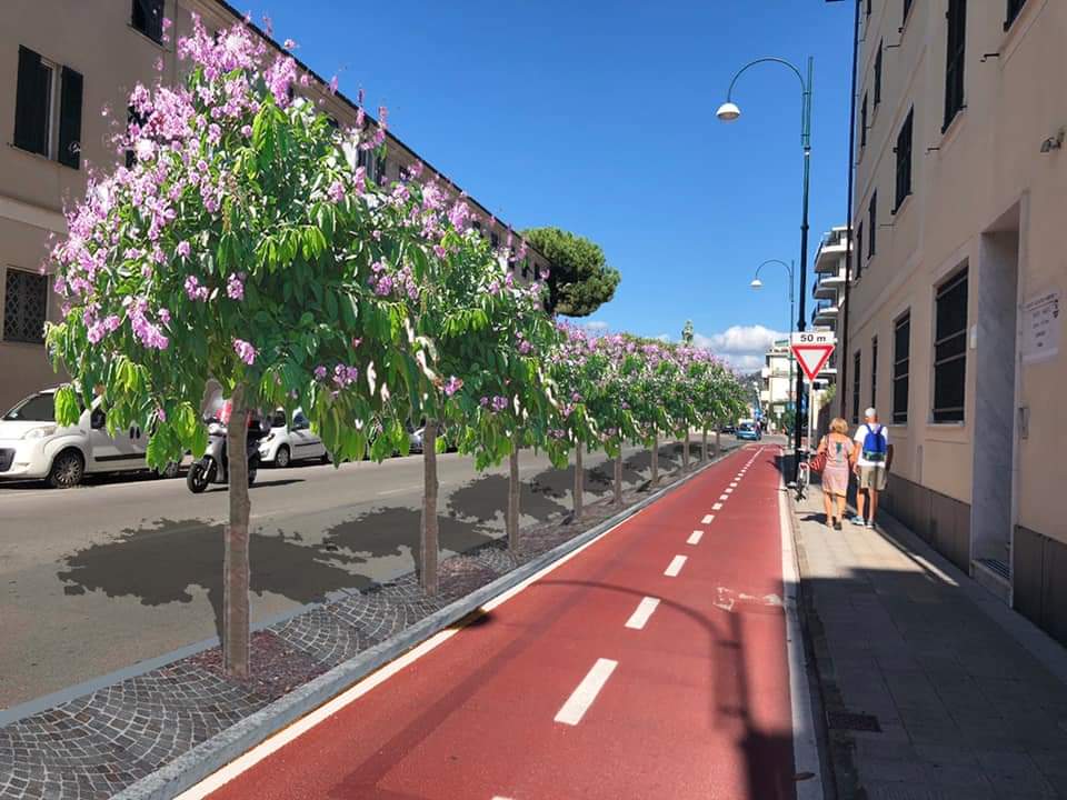 Chiavari: approvato il progetto per la piantumazione di 43 alberi in Corso Colombo