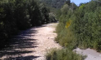 Torrente Lavagna prosciugato, guardie Fipsas contro divieto di ripopolamento