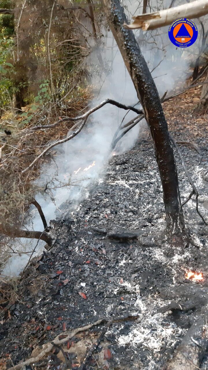 Incendio a Ruta provocato da un fulmine, la pioggia limita i danni