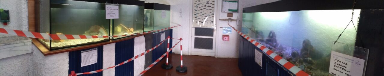 Riapre l’acquario di Sestri Levante