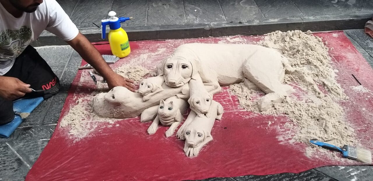 Fra i cuccioli del cane di sabbia spunta…un gatto!