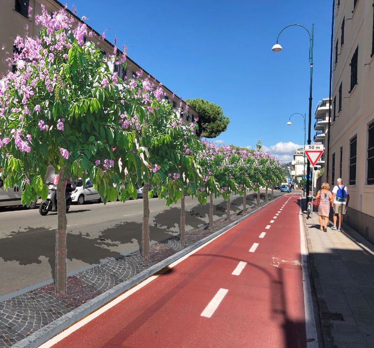 Piste ciclabili, commissioni convocate lunedì