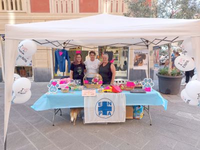 Nonostante difficoltà i volontari Enpa sempre al lavoro