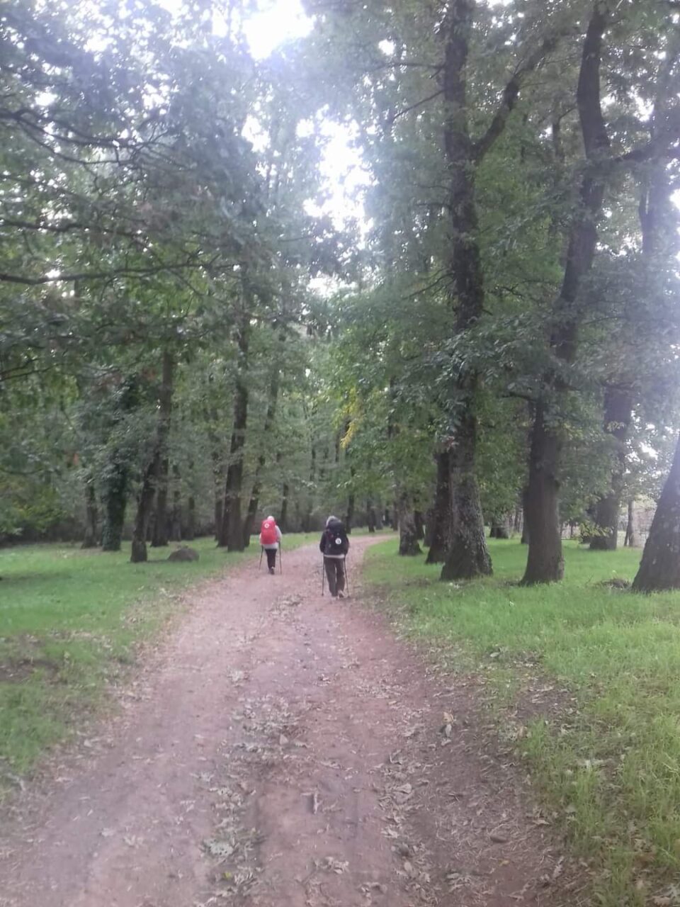 Si interrompe la Camminata contro la violenza sulle donne