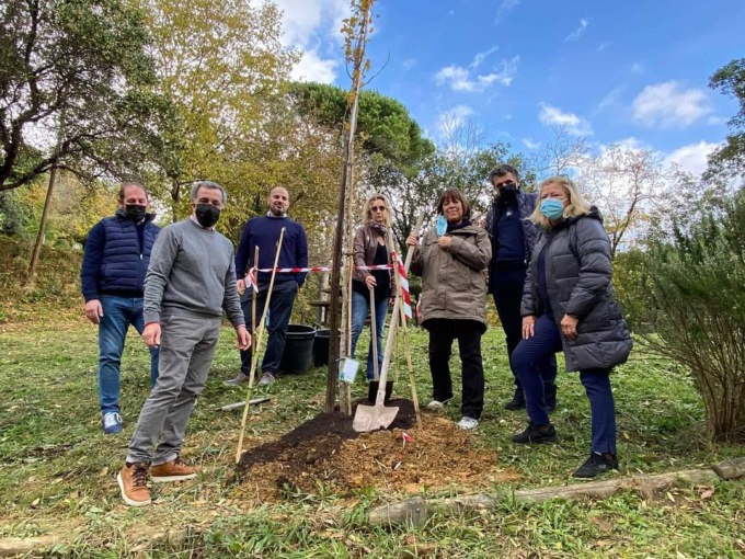A Rapallo nei prossimi due anni saranno piantati 100 alberi