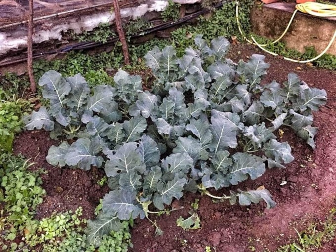 Le Aziende Agricole incontrano il Comune di Lavagna e la Camera di Commercio