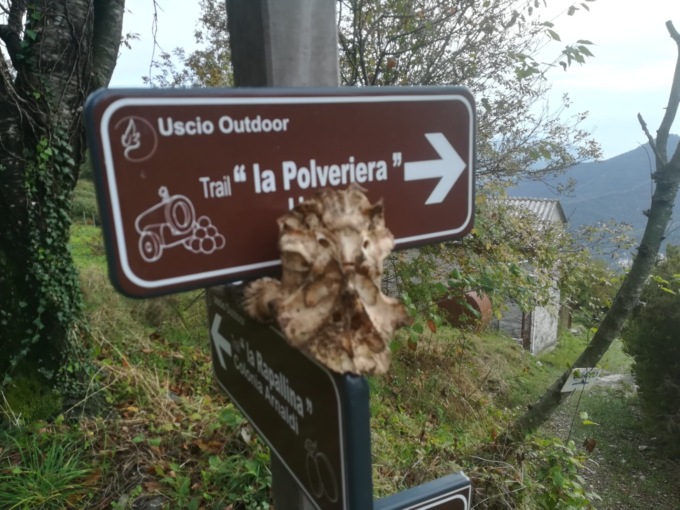 Halloween da incubo, quello vero, sui sentieri usciesi