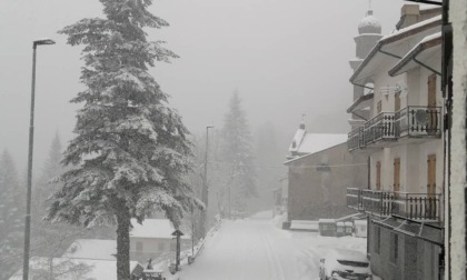 Nevicate copiose nell'entroterra, da Barbagelata a Varese Ligure: video e immagini