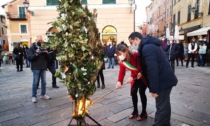 Confuego a  Sestri Levante