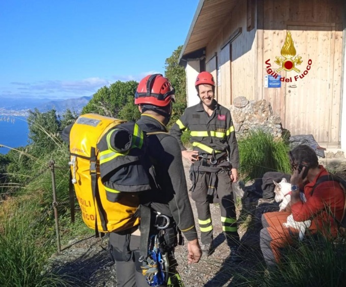 Cane cade dalla scogliera: salvato