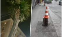 Abbattuto l'albero pericolante in centro a Chiavari dopo la video-segnalazione