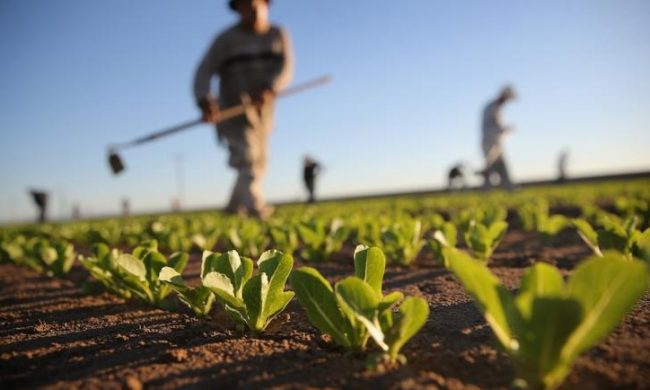 “L’aumento dei costi colpisce anche l’intera filiera agroalimentare”