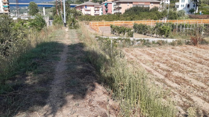 Lavori alla foce dell’Entella, la Commissione Regionale Paesaggio incontra la Città Metropolitana