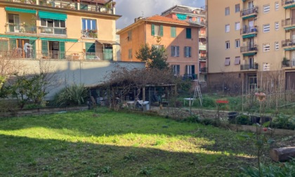Ri-orti, coltivare l’inclusione