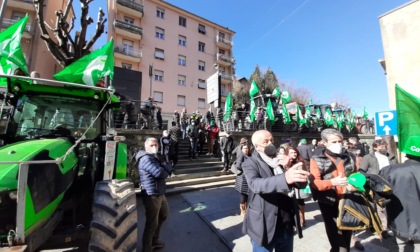 Cia, 50 trattori in strada. Si teme effetto valanga dopo peste suina