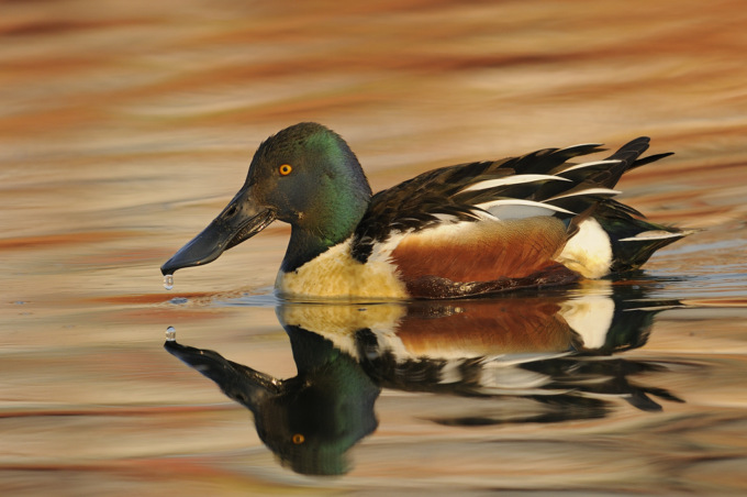 Domenica 3 aprile escursione naturalistica sul fiume Entella