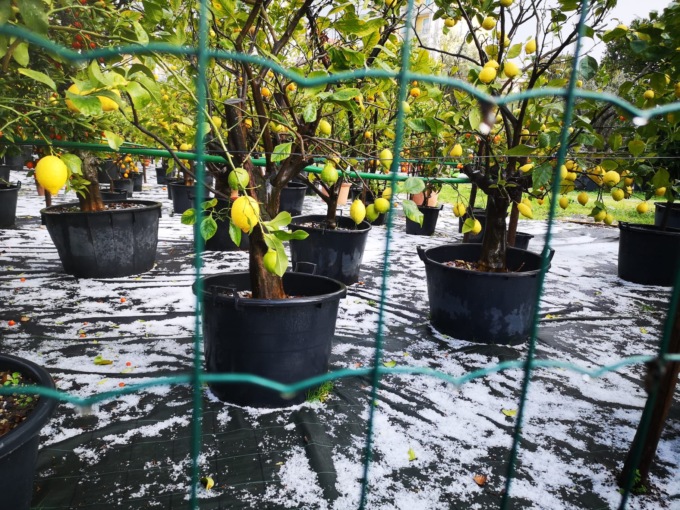 Grandine a Lavagna, imbiancata la piana dell’Entella