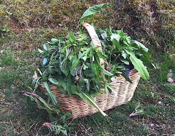 A Chiavari incontro dedicato al prebuggiun