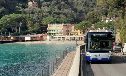 Linea 782 Santa Margherita Ligure – Portofino, aumentano le corse