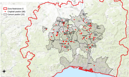 Peste suina, nuovo caso in Liguria