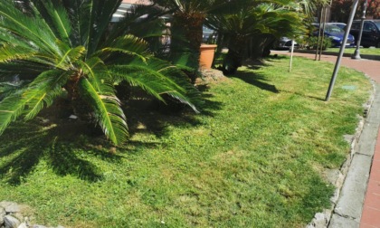 Verde cittadino a Recco
