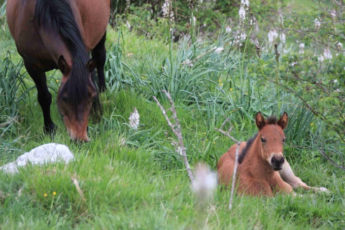 Gli eventi della settimana nelle Valli del Parco dell’Aveto